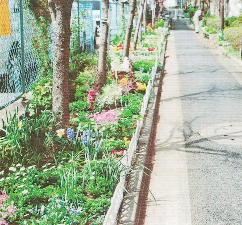 道路の両側に花を植え、１年を通じてHB-101で美しい花を咲かせています。