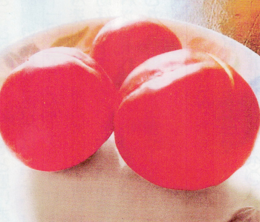 HB-101で露地トマトが、覆いもせずに翌年も元気に育ち、熟したおいしいトマトが出来ました。