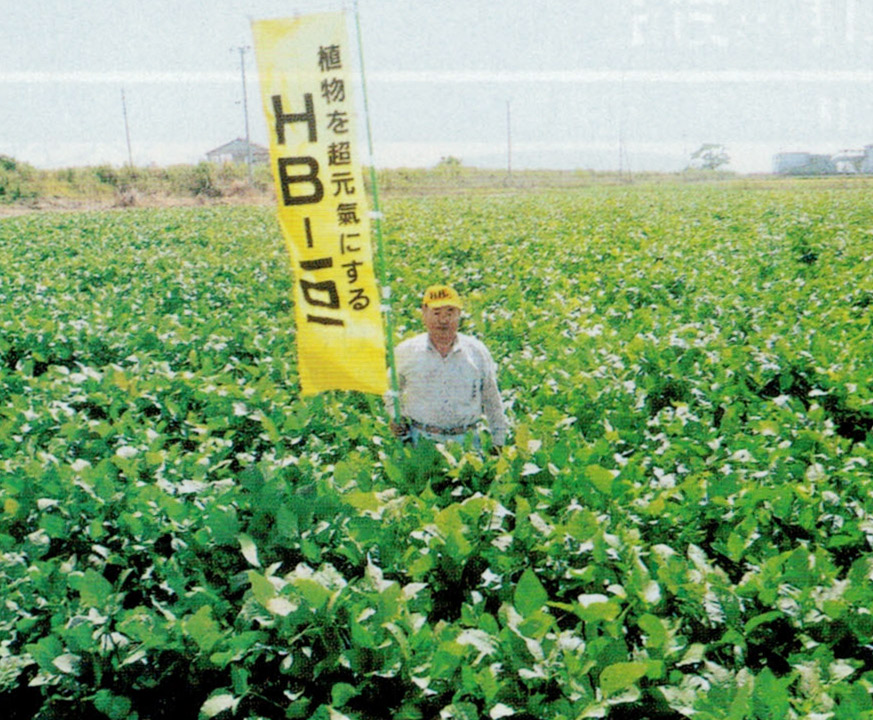 HB-101のおかげで、大豆が昨年より1.5トン増収となりました。