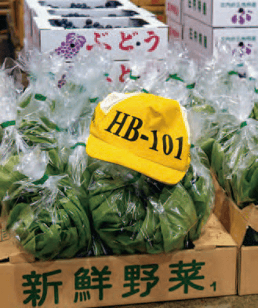 HB-101と顆粒HB-101で育てた作物は青果市場に出荷し、お客様にも大変喜ばれています。