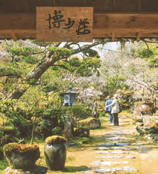 苔庭の「博山荘」に癒やしを求めて、県内外から人達が来られます。