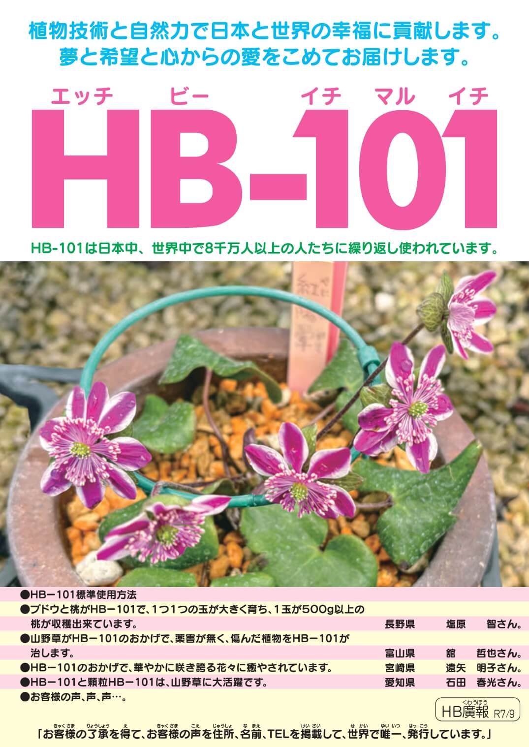 廣報9月号