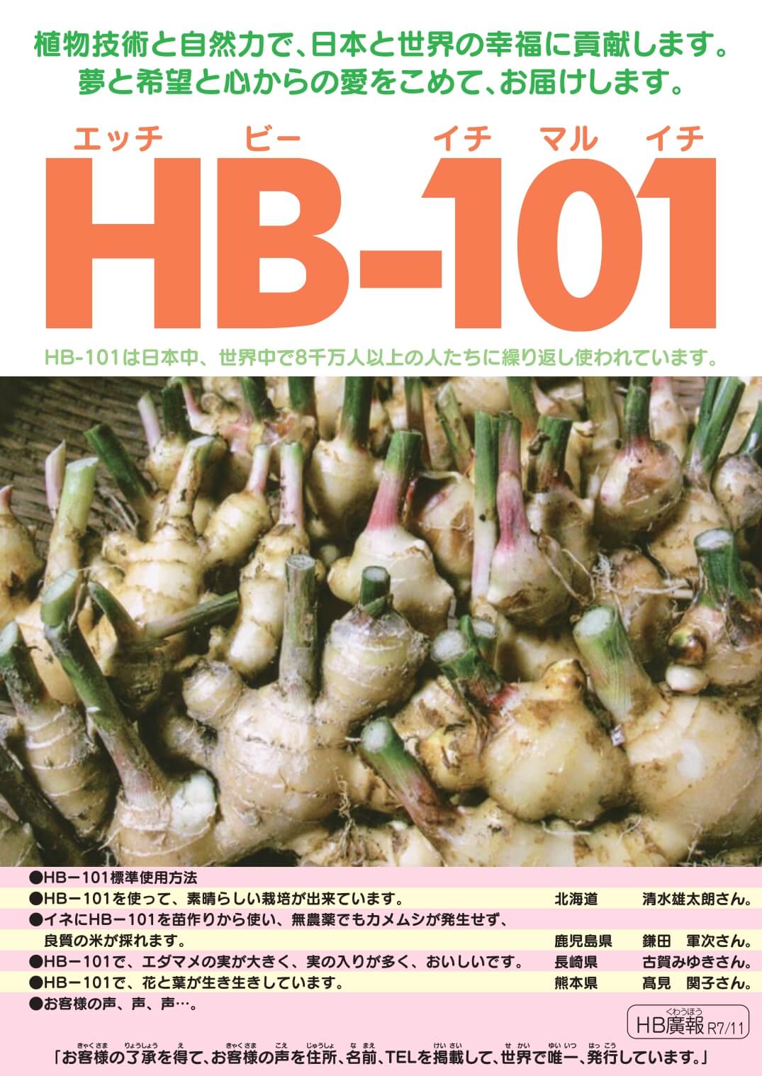廣報11月号