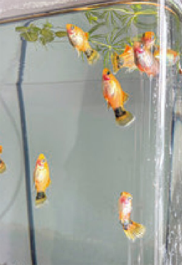 HB-101で、ミッキーマウスプラティが元気で、水草の新芽が沢山、出てきます。